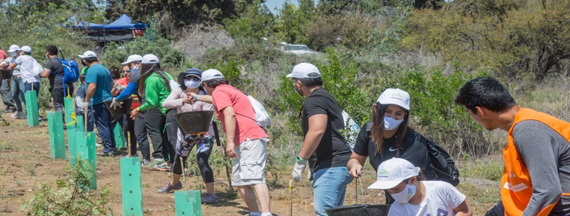 Grünenthal employees and their families planting trees in Chile as part of the #TreesForOurPlanet reforestation project initiated by Grünenthal