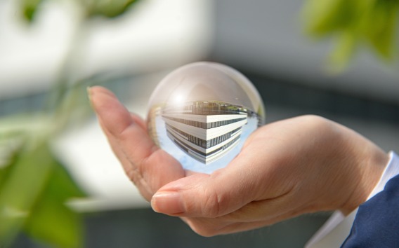 Impulsando la sostenibilidad ambiental 