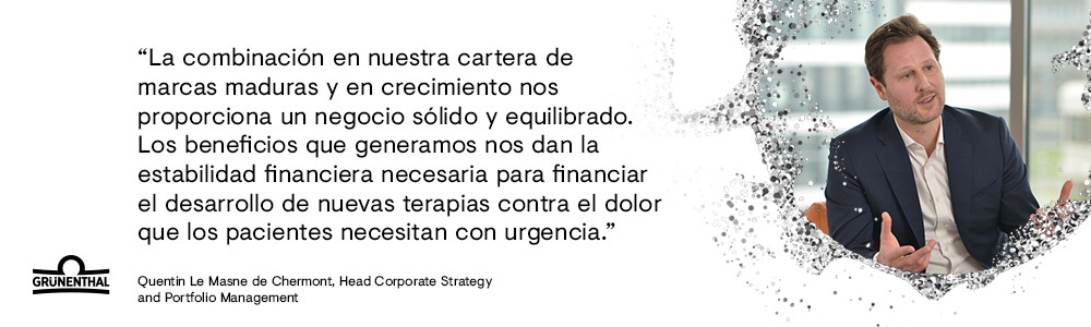 Jefe de estrategia corporativa - Quentin Le Masne de Chermont
