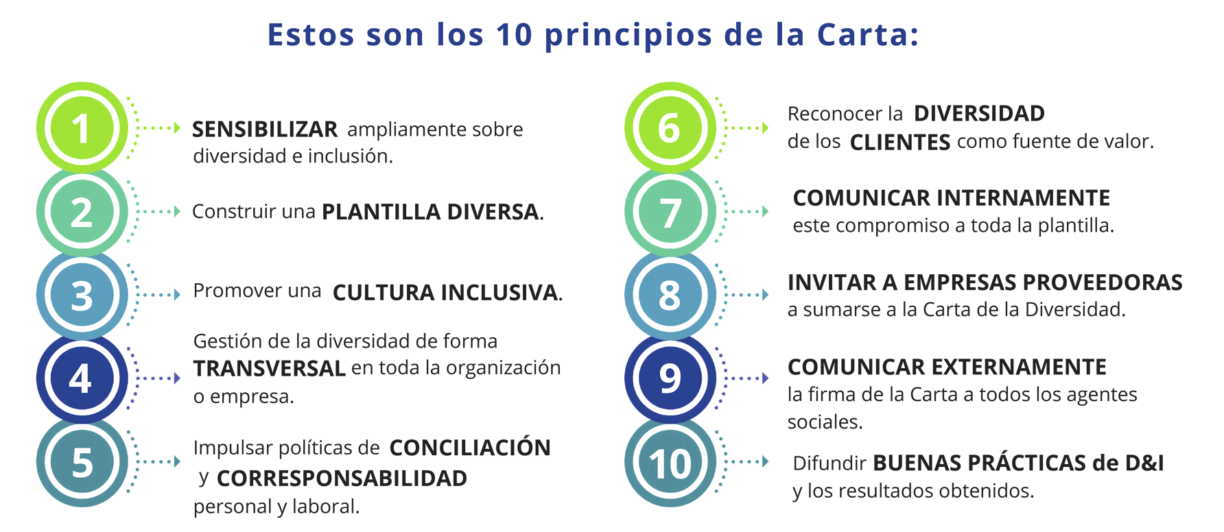 10 principios de la Carta
