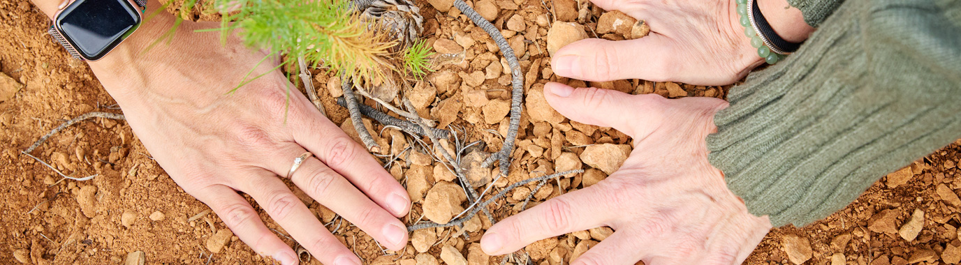 Alrededor de 4.000 árboles y arbustos plantados en España en el marco de la campaña global #TreesForOurPlanet