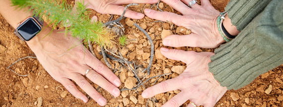 Alrededor de 4.000 árboles y arbustos plantados en España en el marco de la campaña global #TreesForOurPlanet