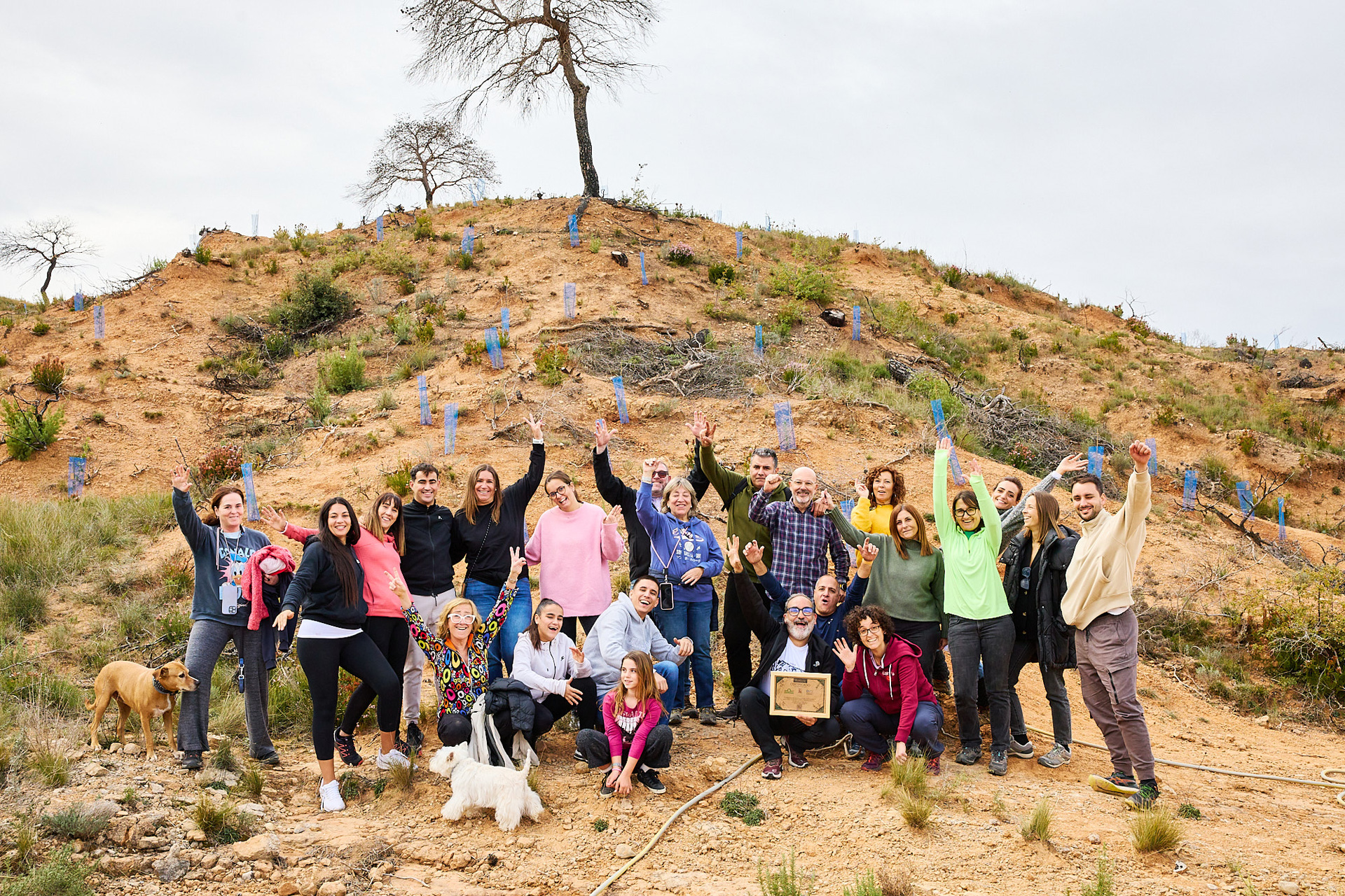 Grünenthal, la SCD, AECOSAR y OAFI se unen para reforestar una zona biodegradada de Barcelona